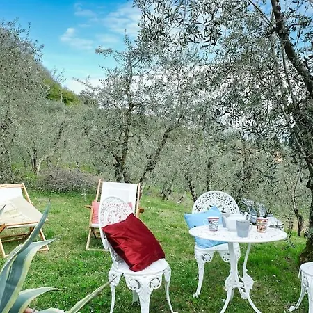 Vakantiehuis Malula A Classy House In The Countryside