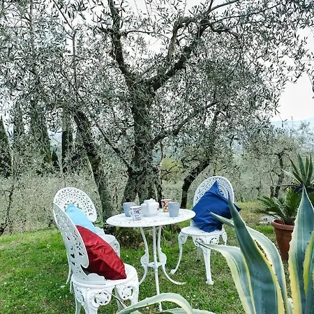 Vakantiehuis Malula A Classy House In The Countryside Capannori
